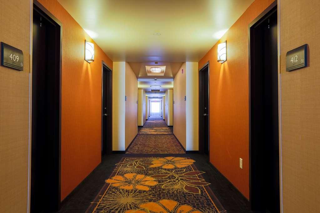 Hilton Garden Inn Indiana At Iup Interior photo